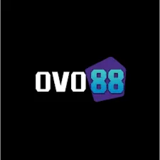 OVO88 - Game Bingo Seru dan Menarik